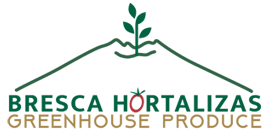 Bresca Logo